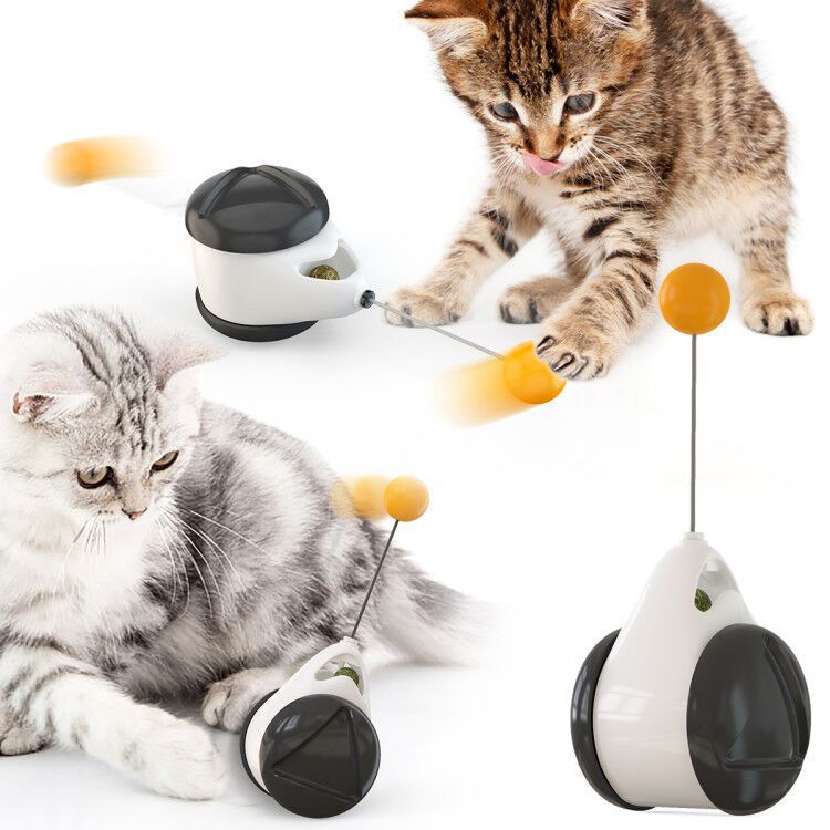 Cat Items