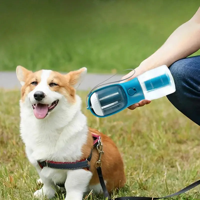 Dog Items